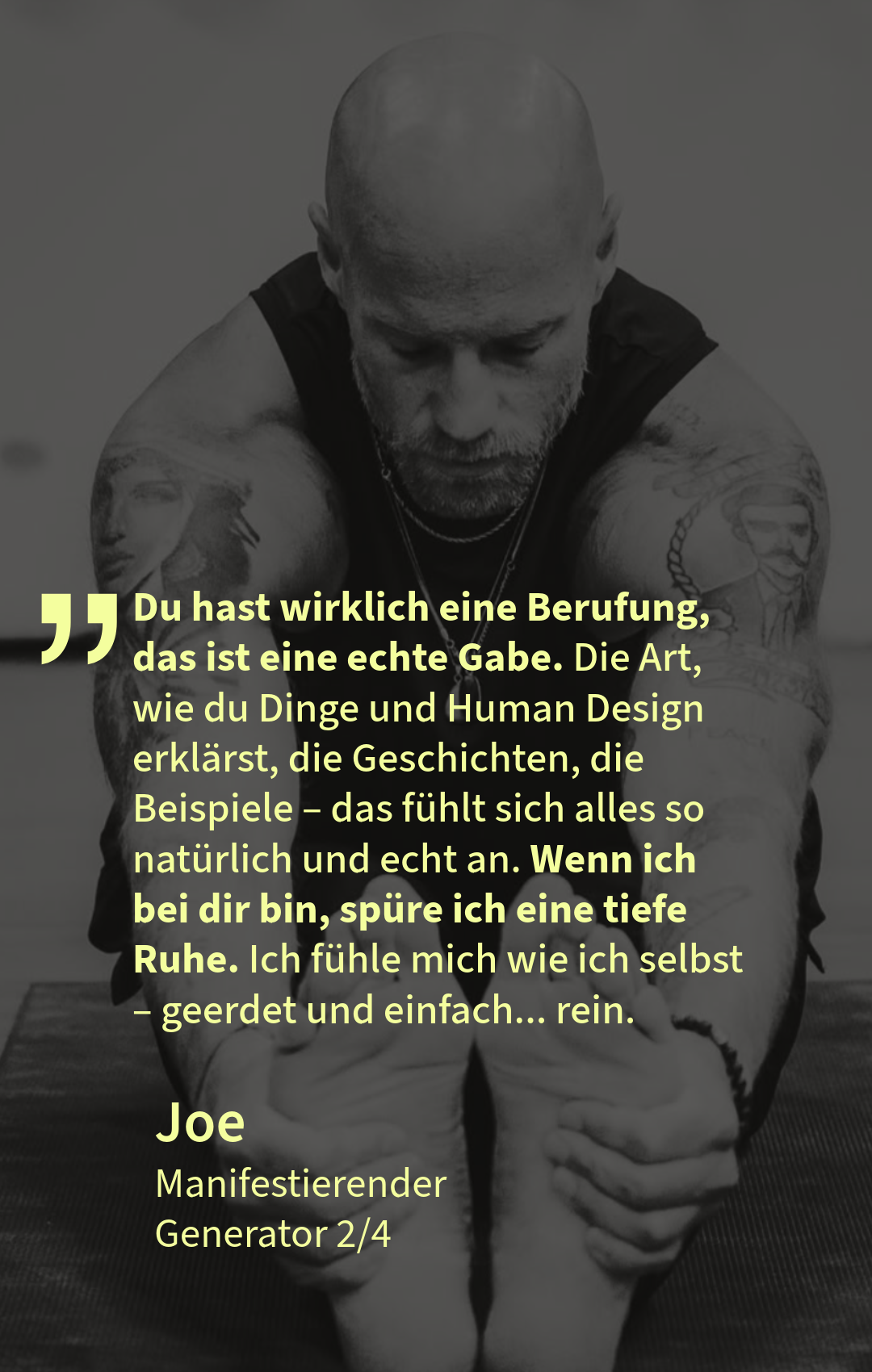 Stimme aus der Begleitung – Joe, Manifestierender Generator 2/4